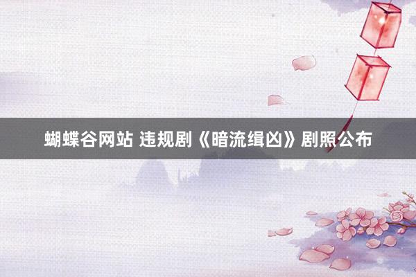 蝴蝶谷网站 违规剧《暗流缉凶》剧照公布