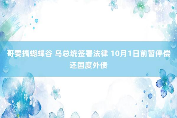 哥要搞蝴蝶谷 乌总统签署法律 10月1日前暂停偿还国度外债