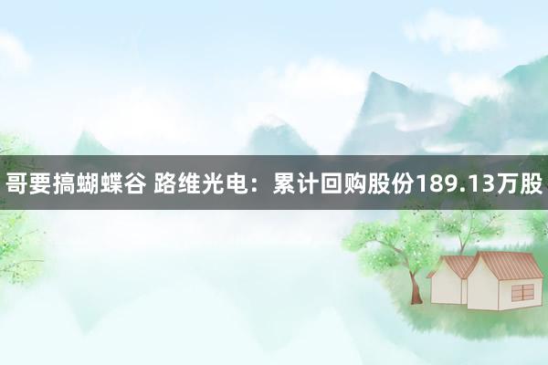 哥要搞蝴蝶谷 路维光电：累计回购股份189.13万股