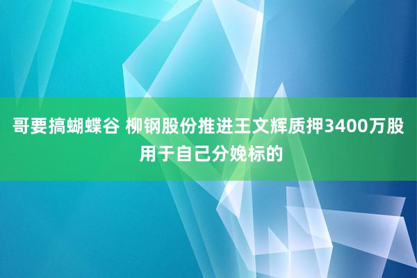 哥要搞蝴蝶谷 柳钢股份推进王文辉质押3400万股 用于自己分娩标的