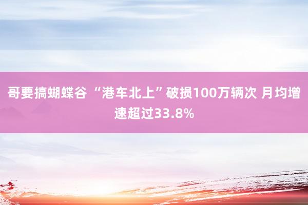 哥要搞蝴蝶谷 “港车北上”破损100万辆次 月均增速超过33.8%