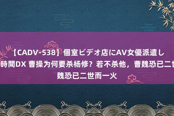 【CADV-538】個室ビデオ店にAV女優派遣します。8時間DX 曹操为何要杀杨修？若不杀他，曹魏恐已二世而一火